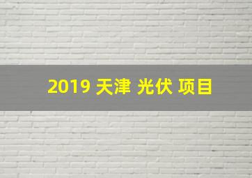 2019 天津 光伏 项目